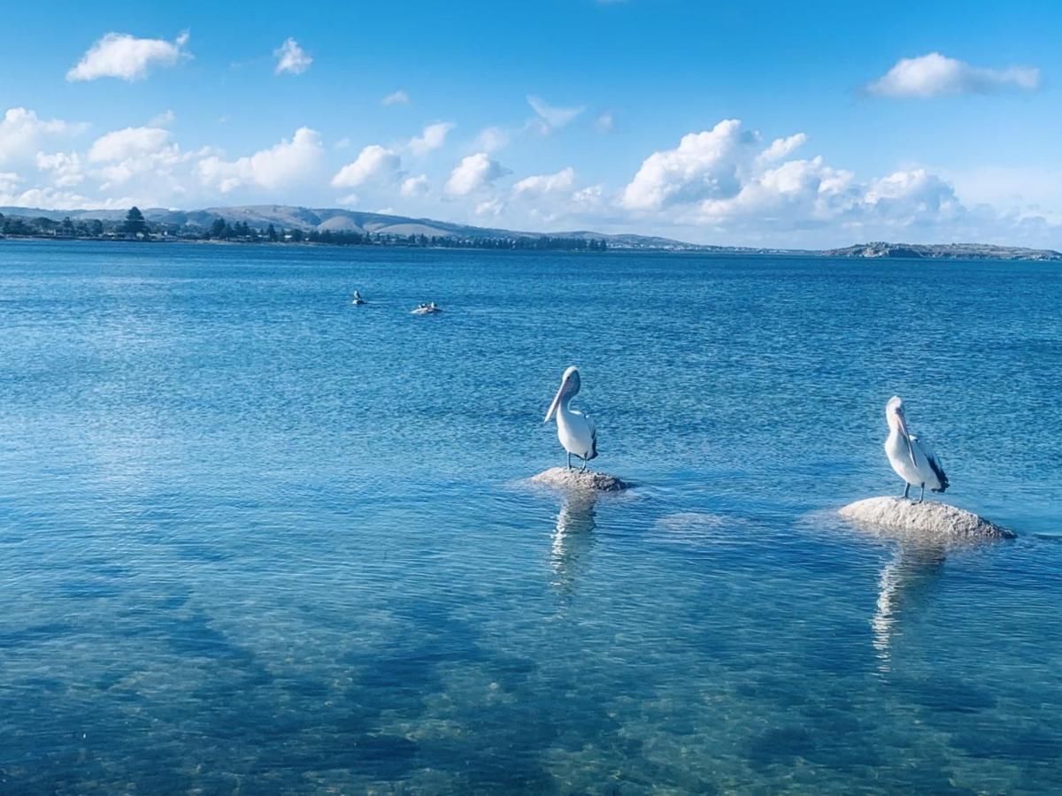 The Bluff Resort Apartments Encounter Bay Экстерьер фото